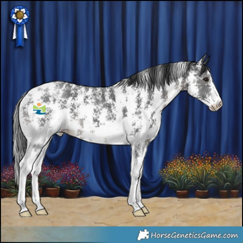 Horse Color:Black Sabino 