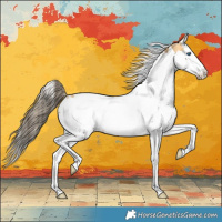 Horse Color:White Spotted Buckskin Splash Tobiano