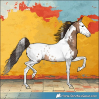 Horse Color:Bay Dun Splash Tobiano Appaloosa