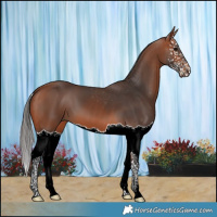 Horse Color:Bay Splash 