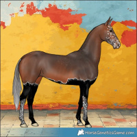 Horse Color:Bay Splash