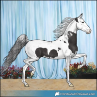 Horse Color:Smoky Black Splash Tobiano 