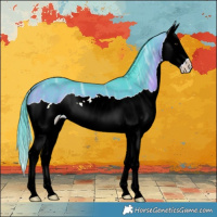 Horse Color:Watercolor Brown Ice Splash 