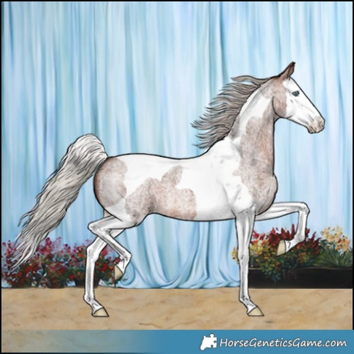 Horse Color:Silver Brown Roan Splash Tobiano 