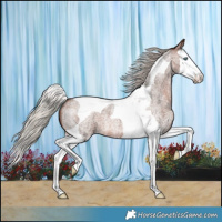 Horse Color:Silver Brown Roan Splash Tobiano 