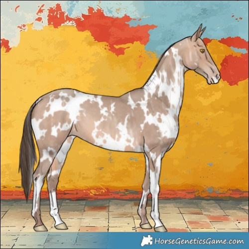 Horse Color:White Spotted Amber Champagne Ice 
