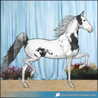 Horse Color:White Spotted Black Splash Tobiano Varnish 