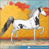 Horse Color:White Spotted Black Splash Tobiano Appaloosa 