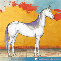 Horse Color:Watercolor White Spotted Bay Onyx Splash 