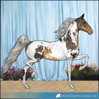 Horse Color:White Spotted Silver Buckskin Tobiano Varnish 
