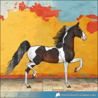 Horse Color:Brown Splash Tobiano