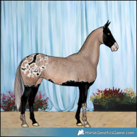 Horse Color:Sable Champagne Splash Varnish Rabicano 
