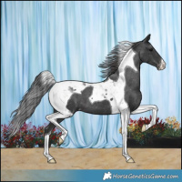 Horse Color:Black Tobiano Varnish 