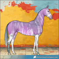 Horse Color:Watercolor Bay Ice Splash