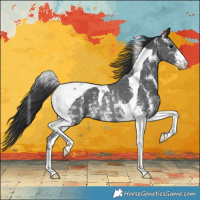 Horse Color:Black Sabino Tobiano Appaloosa Rabicano 