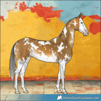 Horse Color:Gray White Spotted Amber Cream Champagne Splash