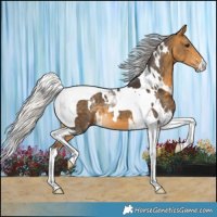 Horse Color:White Spotted Silver Buckskin Tobiano 