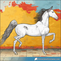 Horse Color:Smoky Black Splash Tobiano Appaloosa Rabicano