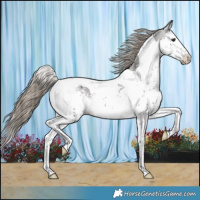 Horse Color:Smoky Black Splash Tobiano Varnish Rabicano 