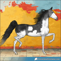 Horse Color:Gray Smoky Black Splash