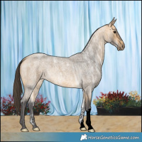 Horse Color:Buckskin Ice Roan 
