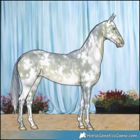 Horse Color:Watercolor White Spotted Brown Ice Splash Rabicano 