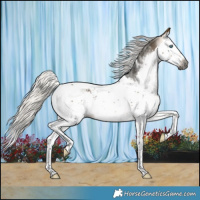 Horse Color:Gray Silver Buckskin Splash Tobiano 