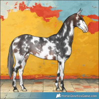Horse Color:White Spotted Bay Splash Rabicano 