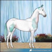 Horse Color:Gray Watercolor Buckskin Splash Tobiano Blanket 