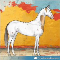 Horse Color:Gray White Spotted Sable Cream Champagne Splash Tobiano Varnish
