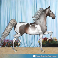 Horse Color:Gray Silver Brown Tobiano 