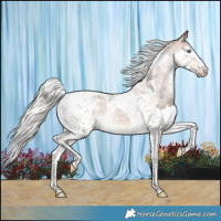 Horse Color:Silver Brown Splash Tobiano Varnish 