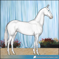 Horse Color:White Spotted Perlino Dun Splash Tobiano 