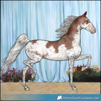Horse Color:Silver Brown Splash Varnish Rabicano 