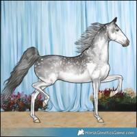 Horse Color:Gray Brown Splash Snowflake VarnishRabicano 