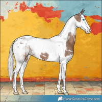 Horse Color:Silver Black Splash Tobiano 