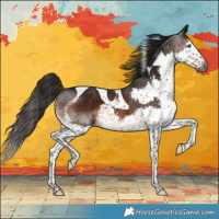 Horse Color:Gray Brown Splash Tobiano Appaloosa 