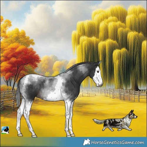 Horse Color:Gray Platinum Liver Chestnut Splash Tobiano 