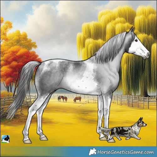Horse Color:Gray Platinum Liver Chestnut Splash Tobiano 