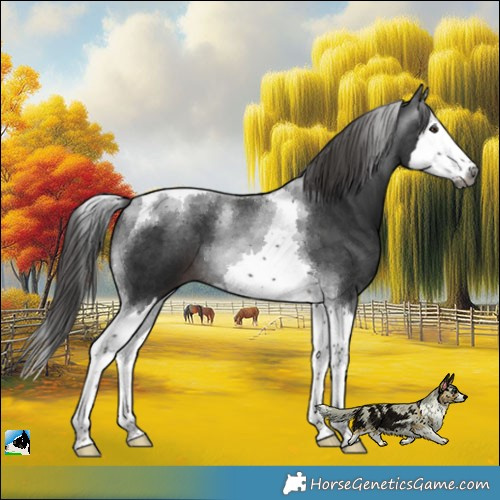 Horse Color:Gray Platinum Liver Chestnut Splash Tobiano 