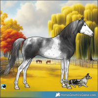 Horse Color:Gray Platinum Liver Chestnut Splash Tobiano 