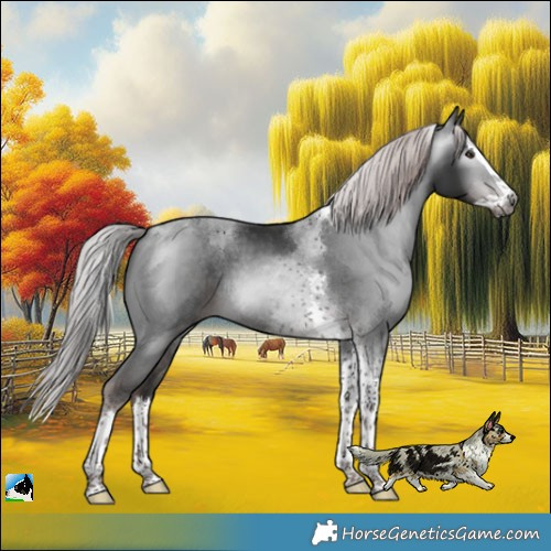 Horse Color:Gray Platinum Liver Chestnut Splash Tobiano Rabicano 