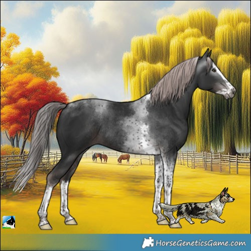 Horse Color:Gray Platinum Liver Chestnut Splash Tobiano Rabicano 