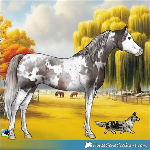 Horse Color:Platinum White Spotted Liver Chestnut Splash Tobiano 