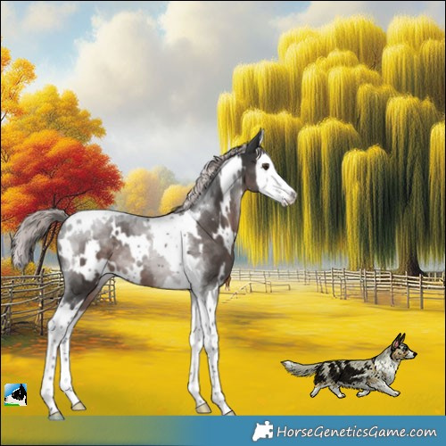 Horse Color:Platinum White Spotted Liver Chestnut Splash Tobiano