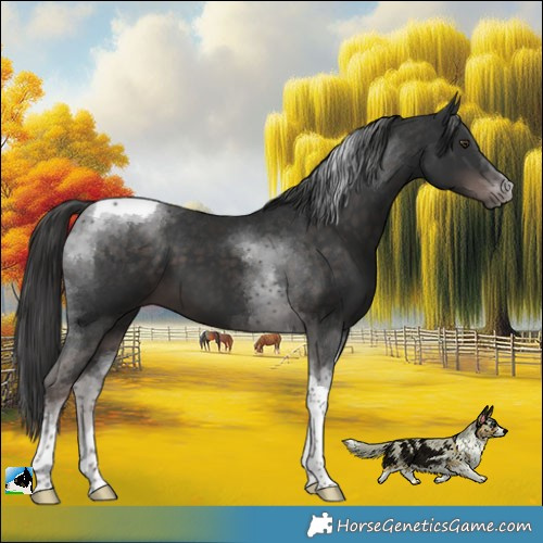 Horse Color:Platinum Liver Chestnut Tobiano 