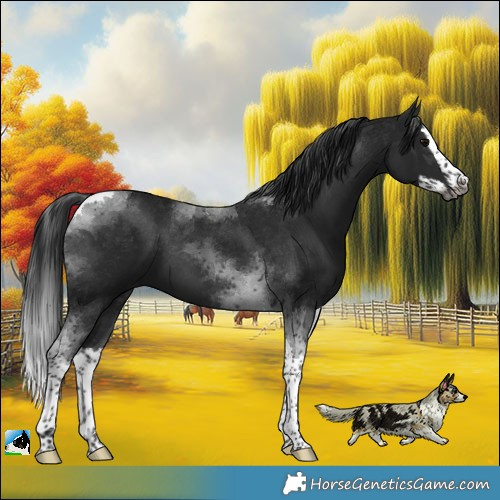Horse Color:Gray Platinum Brown Splash Tobiano 