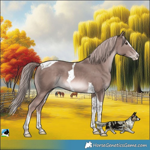 Horse Color:Platinum Chestnut Splash Tobiano 