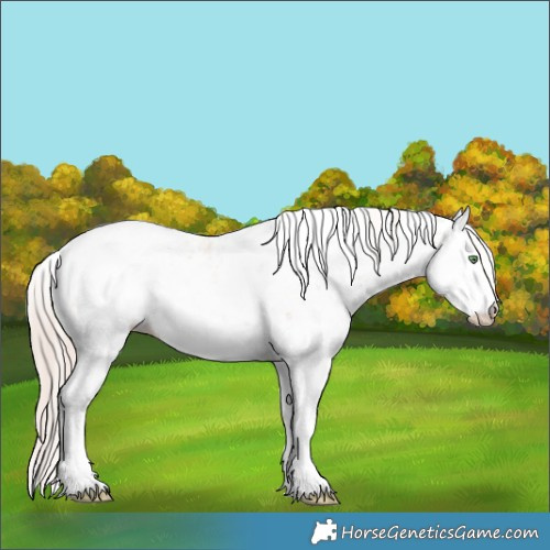 Horse Color:Gold Champagne Dun Sabino Rabicano 