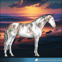 Horse Color:White Spotted Bay Splash 